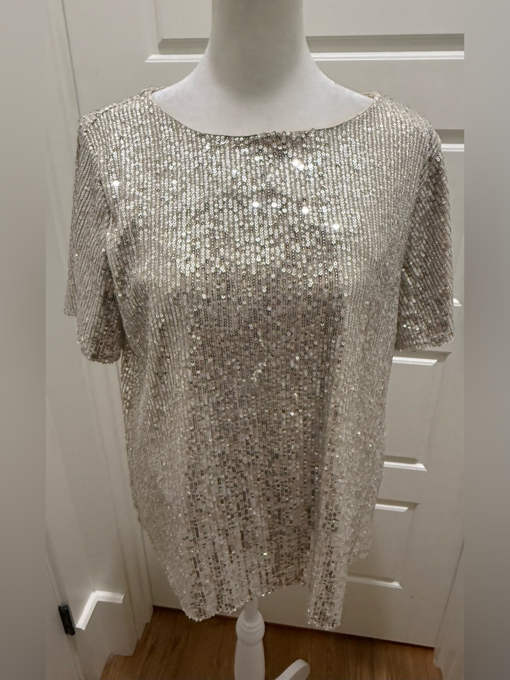 bohme. Nude with Silver Sequin Blouse. Size Medium.